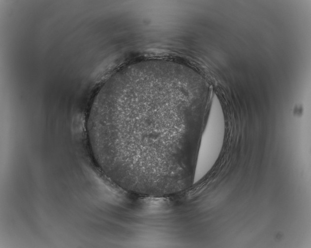 X0000089910711200707271714