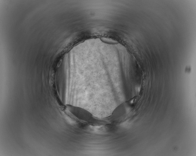 X0000089910712200707271714