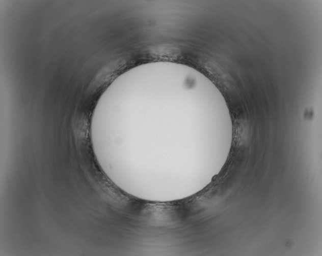 X0000089910713200707271714