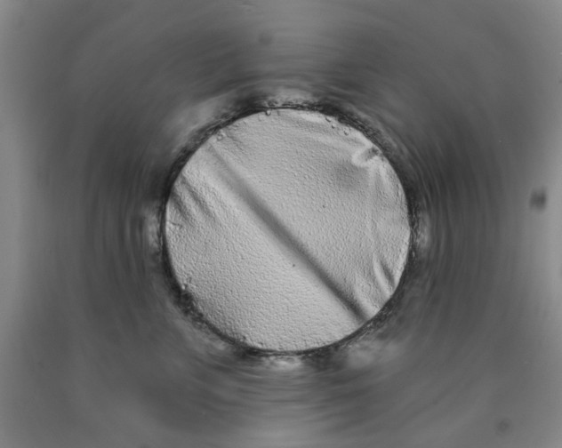 X0000089910715200707271714