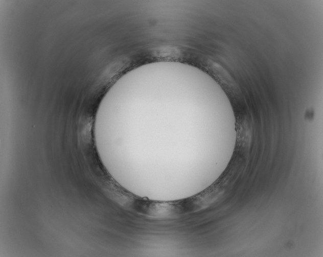 X0000089910717200707271714