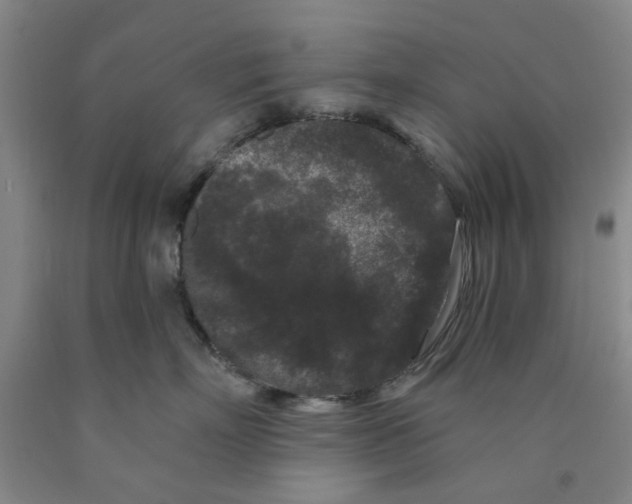 X0000089910718200707271714