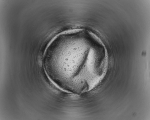 X0000089910719200707271714