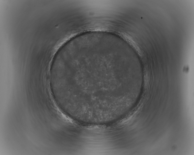 X0000089910721200707271713