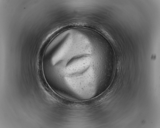 X0000089910722200707271713