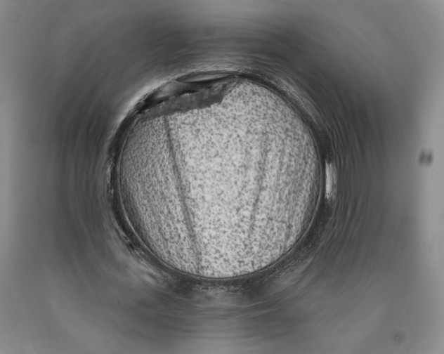 X0000089910723200707271713