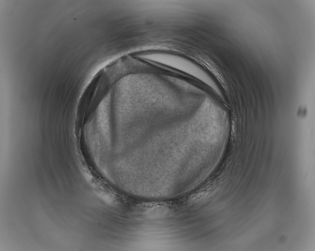 X0000089910724200707271714