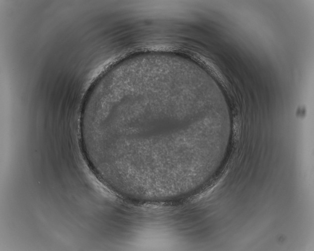 X0000089910725200707271714