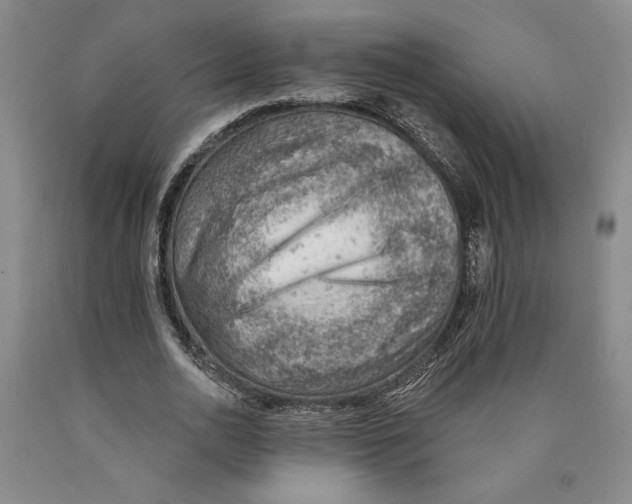 X0000089910726200707271714