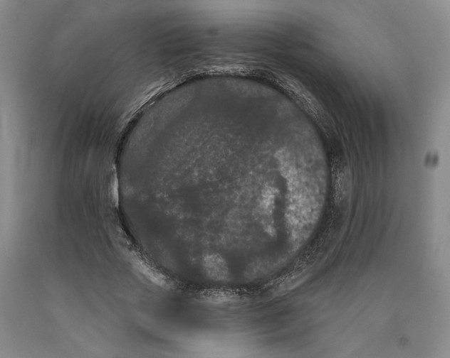 X0000089910729200707271714