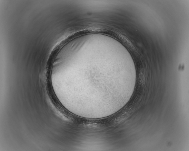 X0000089910730200707271714