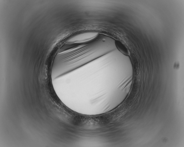 X0000089910731200707271714