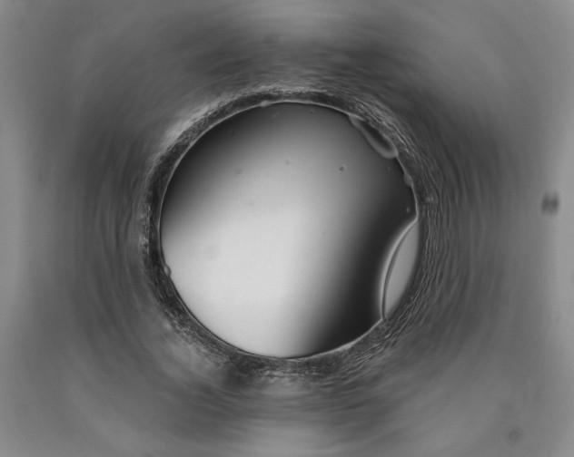 X0000089910732200707271714