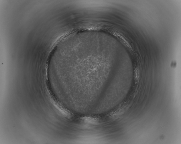 X0000089910733200707271714