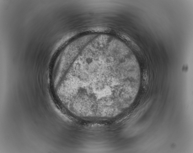 X0000089910734200707271714