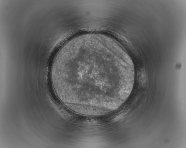 X0000089910735200707271714