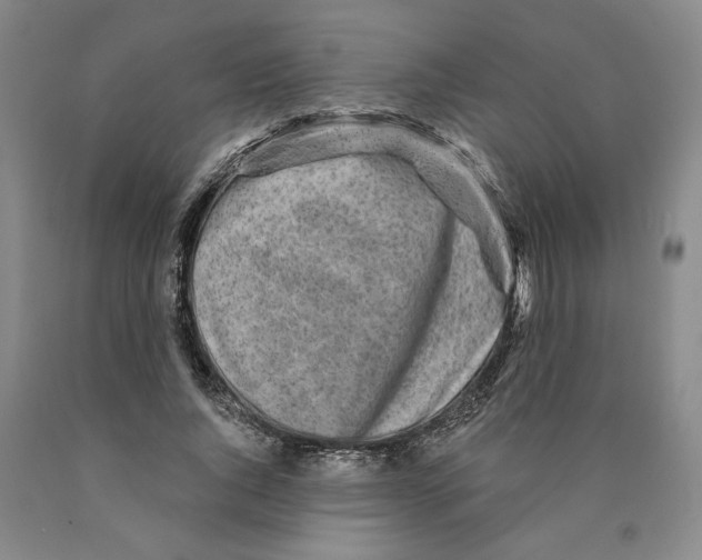 X0000089910736200707271714