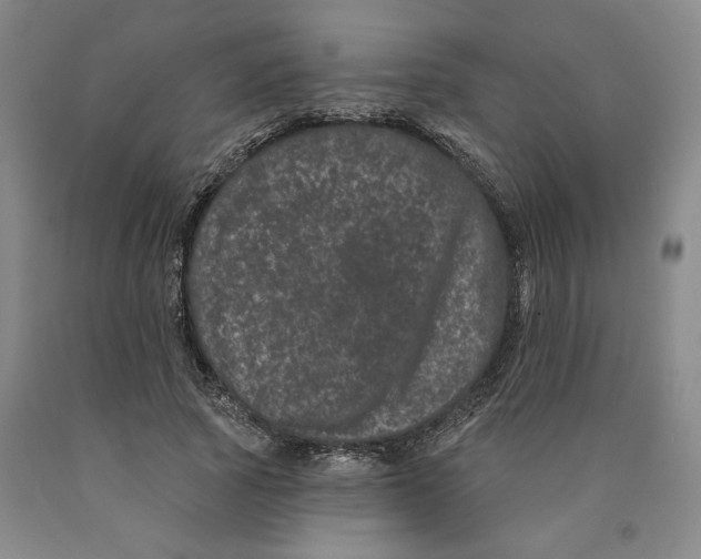 X0000089910737200707271714