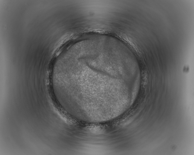 X0000089910738200707271714