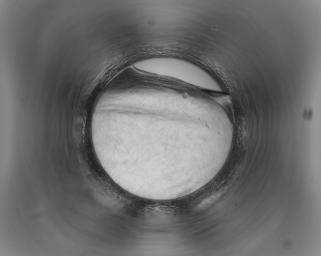 X0000089910739200707271714