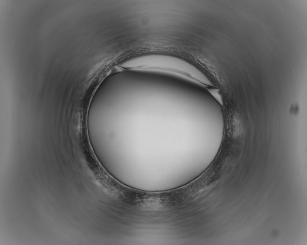 X0000089910740200707271714