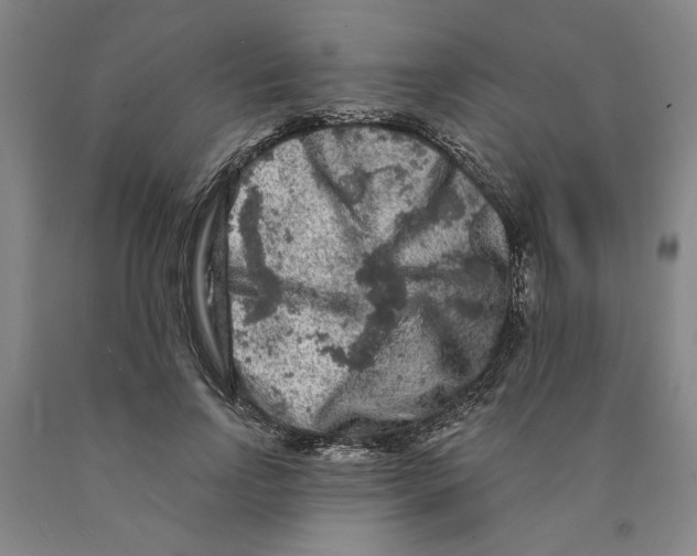 X0000089910742200707271714