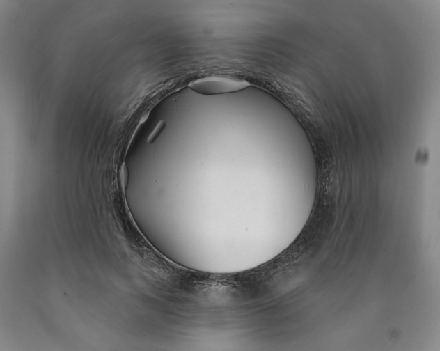 X0000089910743200707271714