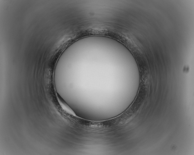 X0000089910744200707271714