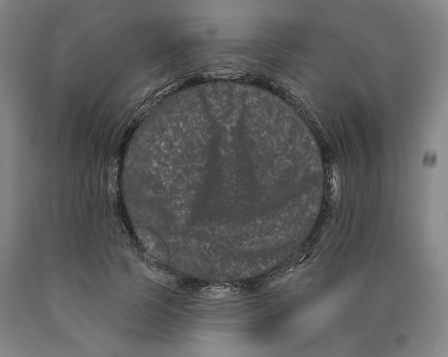 X0000089910745200707271714