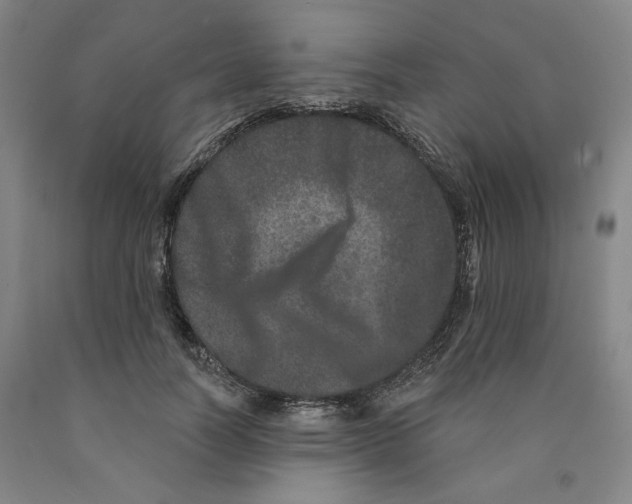 X0000089910746200707271714