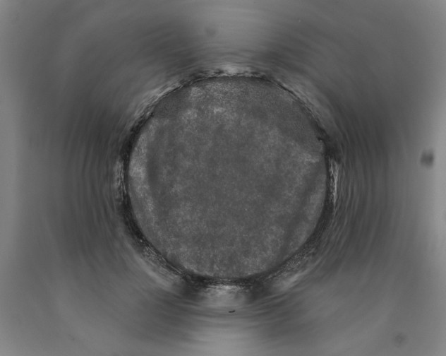 X0000089910748200707271714