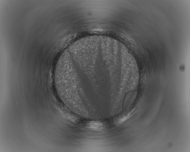 X0000089910749200707271714