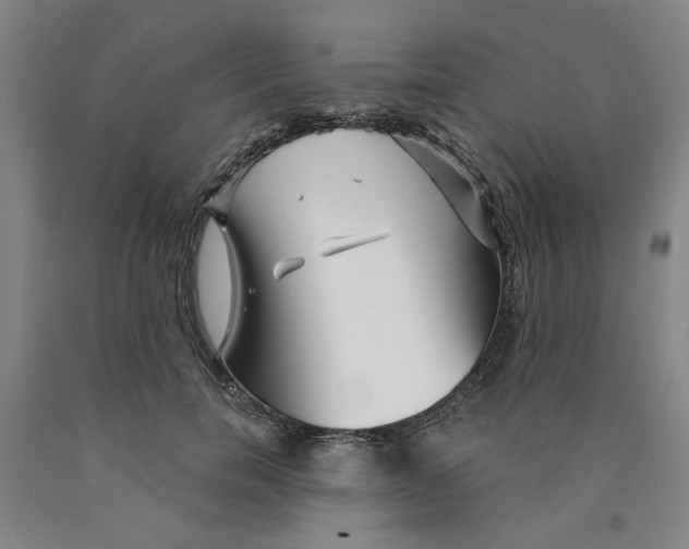 X0000089910750200707271714