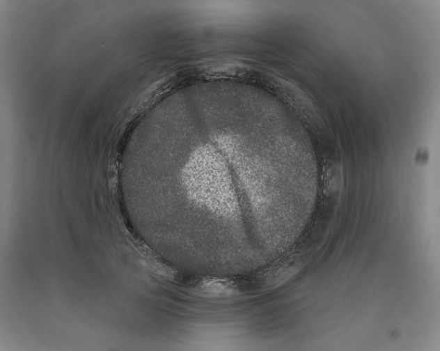 X0000089910753200707271714