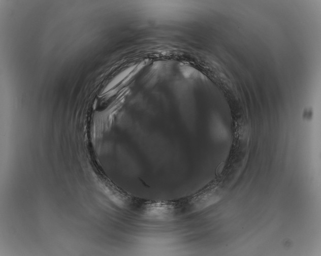 X0000089910754200707271714