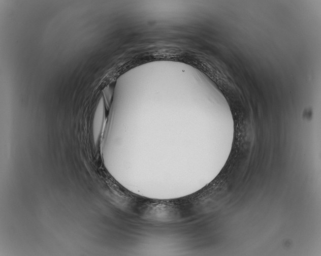 X0000089910755200707271714