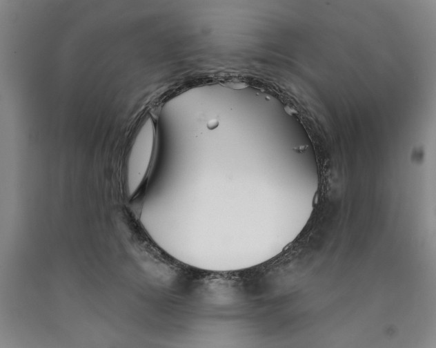 X0000089910756200707271714