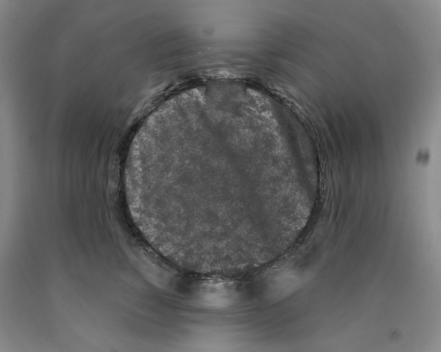 X0000089910760200707271714