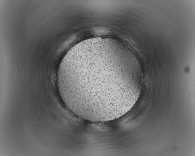 X0000089910763200707271714