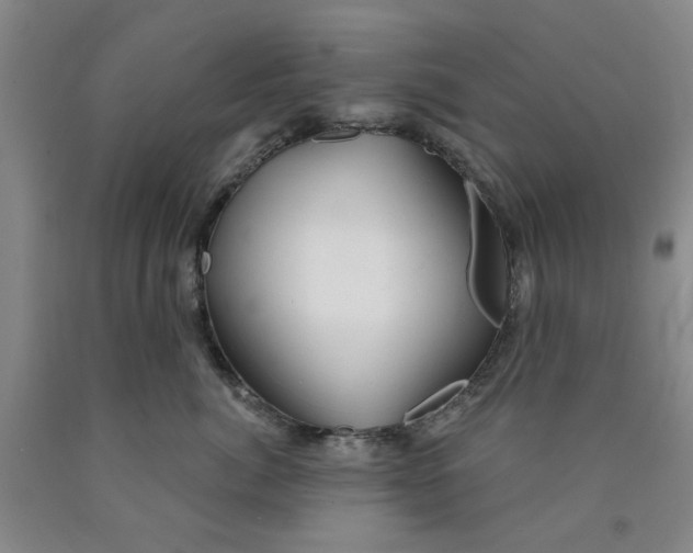 X0000089910764200707271714