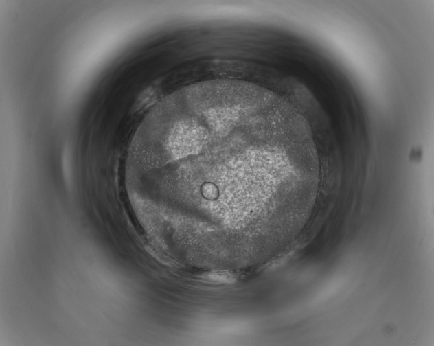 X0000089910765200707271714