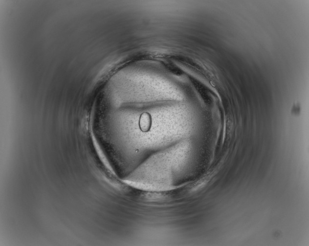 X0000089910766200707271714