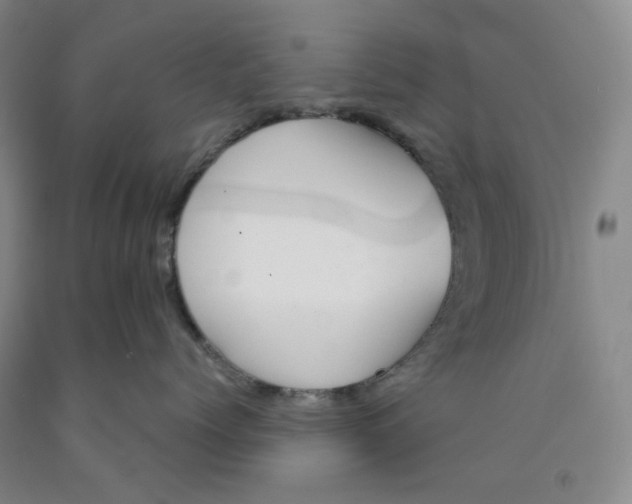 X0000089910768200707271714