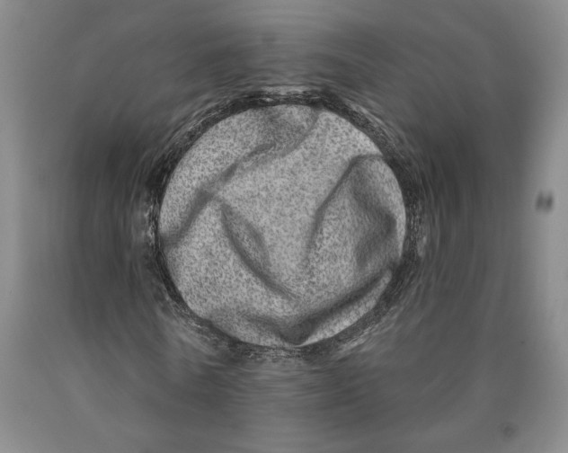 X0000089910770200707271713