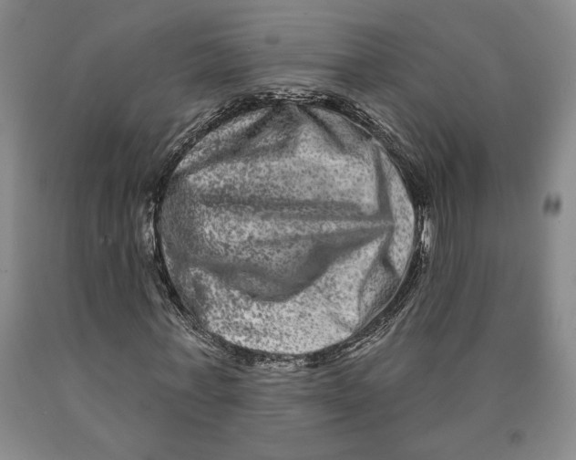 X0000089910771200707271713