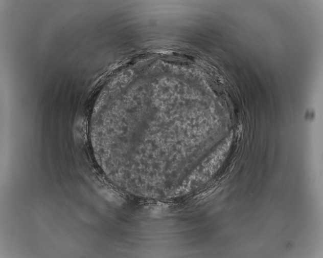 X0000089910772200707271713