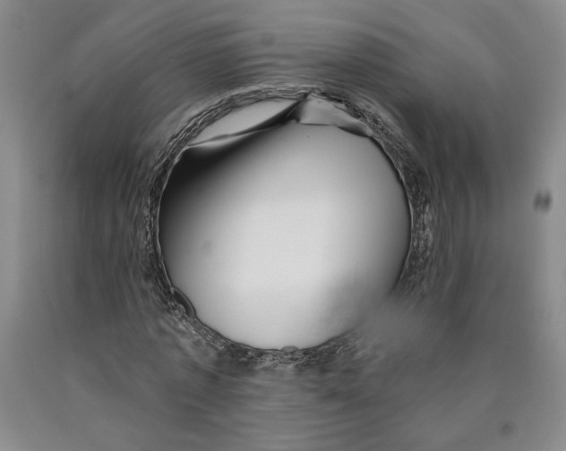 X0000089910773200707271713