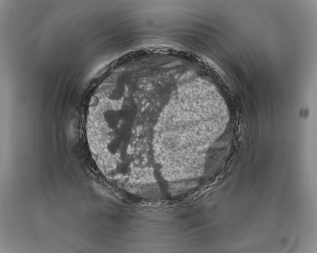 X0000089910775200707271713