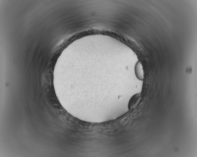 X0000089910776200707271713