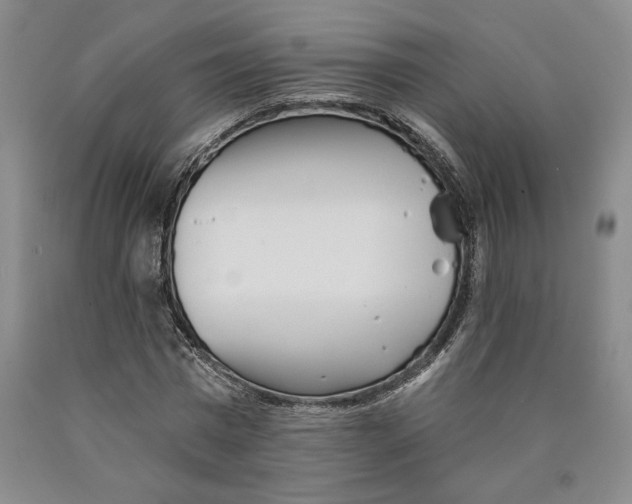 X0000089910777200707271713